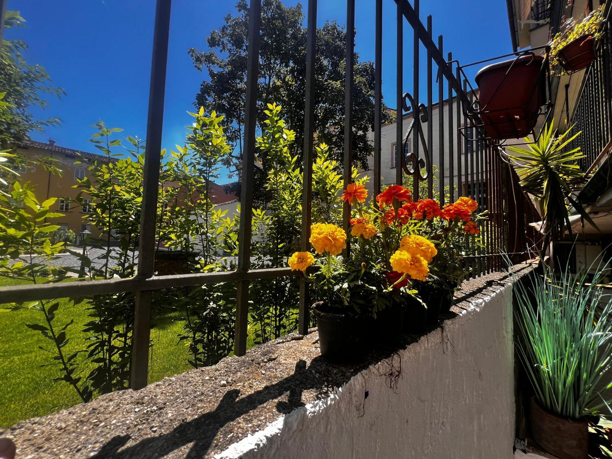Casa In Pelleria Leilighet Lucca Eksteriør bilde